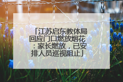江苏启东教体局回应门口燃放烟花：家长燃放，已安排人员巡视阻止