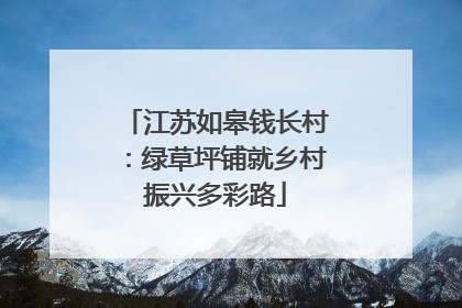 江苏如皋钱长村：绿草坪铺就乡村振兴多彩路
