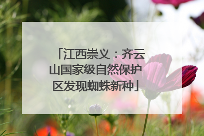 江西崇义：齐云山国家级自然保护区发现蜘蛛新种