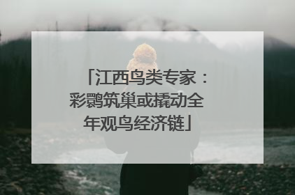 江西鸟类专家：彩鹮筑巢或撬动全年观鸟经济链