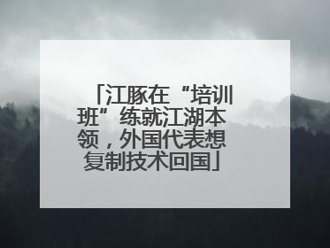 江豚在“培训班”练就江湖本领，外国代表想复制技术回国