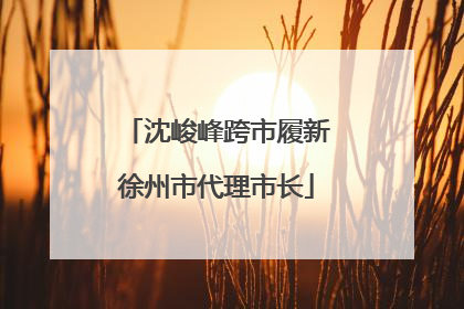 沈峻峰跨市履新徐州市代理市长