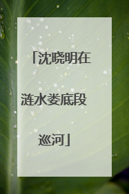 沈晓明在涟水娄底段巡河