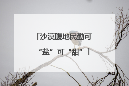 沙漠腹地民勤可“盐”可“甜”