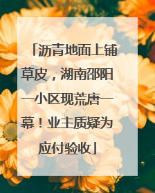 沥青地面上铺草皮，湖南邵阳一小区现荒唐一幕！业主质疑为应付验收