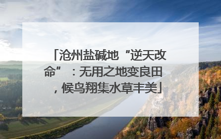 沧州盐碱地“逆天改命”：无用之地变良田，候鸟翔集水草丰美