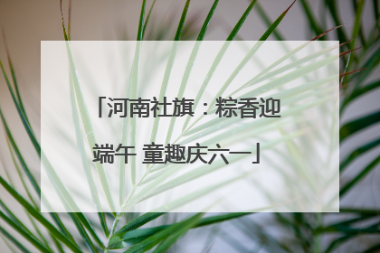 河南社旗：粽香迎端午 童趣庆六一