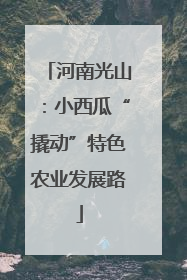 河南光山：小西瓜“撬动”特色农业发展路