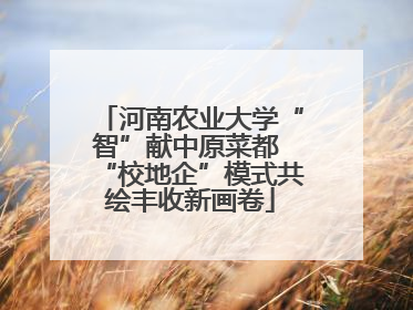河南农业大学“智”献中原菜都 “校地企”模式共绘丰收新画卷