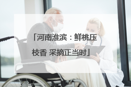 河南淮滨：鲜桃压枝香 采摘正当时