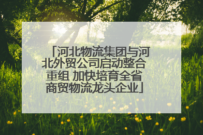 河北物流集团与河北外贸公司启动整合重组 加快培育全省商贸物流龙头企业