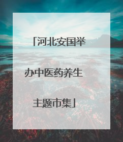 河北安国举办中医药养生主题市集