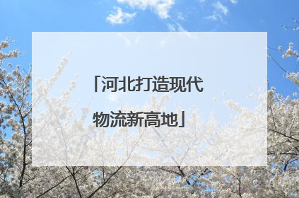 河北打造现代物流新高地