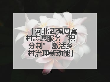 河北武强周窝村志愿服务“积分制” 激活乡村治理新动能