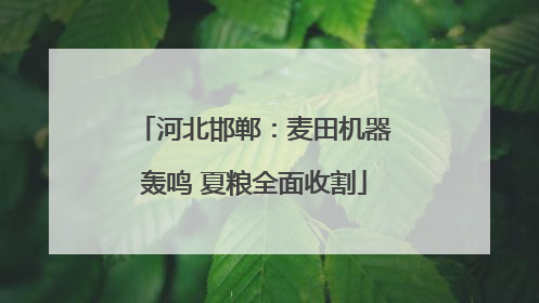 河北邯郸：麦田机器轰鸣 夏粮全面收割