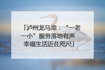 泸州龙马潭：“一老一小”服务落地有声 幸福生活近在咫尺