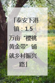 泰安下港镇：1.5万亩“樱桃黄金带”铺就乡村振兴路