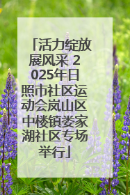 活力绽放展风采 2025年日照市社区运动会岚山区中楼镇娄家湖社区专场举行