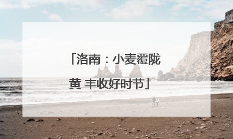 洛南：小麦覆陇黄 丰收好时节