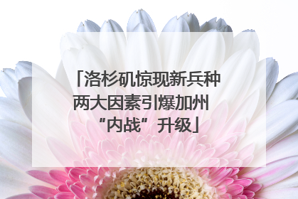 洛杉矶惊现新兵种 两大因素引爆加州“内战”升级