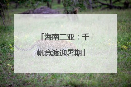 海南三亚：千帆竞渡迎暑期