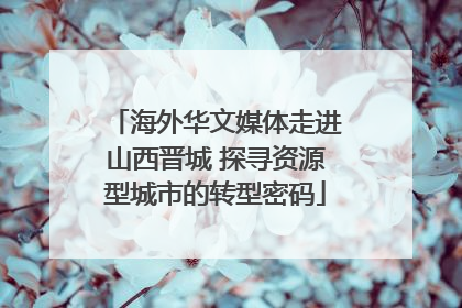 海外华文媒体走进山西晋城 探寻资源型城市的转型密码