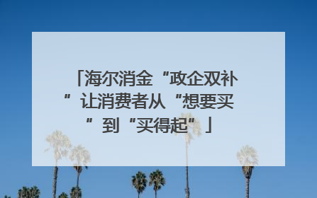 海尔消金“政企双补”让消费者从“想要买”到“买得起”