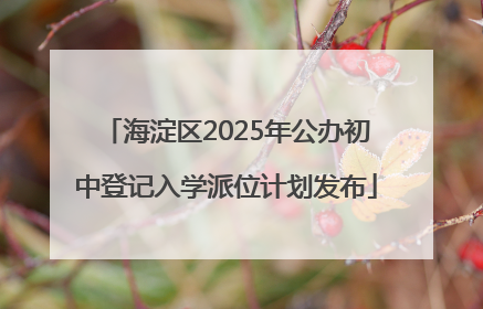 海淀区2025年公办初中登记入学派位计划发布