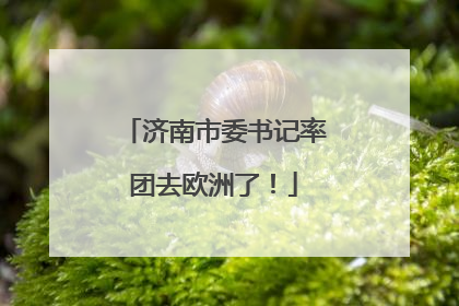 济南市委书记率团去欧洲了！
