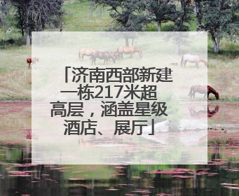 济南西部新建一栋217米超高层，涵盖星级酒店、展厅