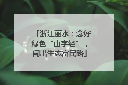 浙江丽水：念好绿色“山字经”，闯出生态富民路