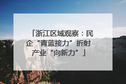 浙江区域观察：民企“青蓝接力”折射产业“向新力”