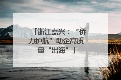 浙江嘉兴：“侨力护航”助企高质量“出海”