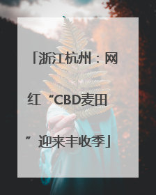 浙江杭州：网红“CBD麦田”迎来丰收季