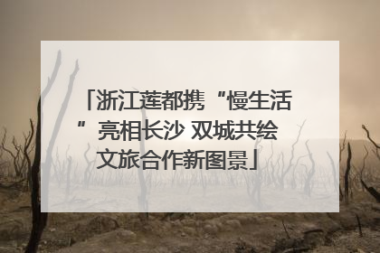 浙江莲都携“慢生活”亮相长沙 双城共绘文旅合作新图景