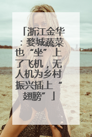 浙江金华：婺城蔬菜也“坐”上了飞机，无人机为乡村振兴插上“翅膀”
