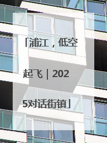 浦江，低空起飞｜2025对话街镇