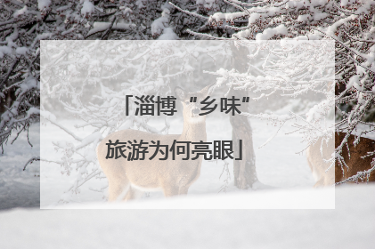 淄博“乡味”旅游为何亮眼