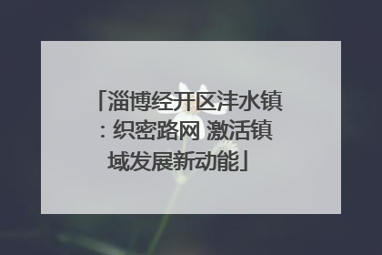 淄博经开区沣水镇：织密路网 激活镇域发展新动能