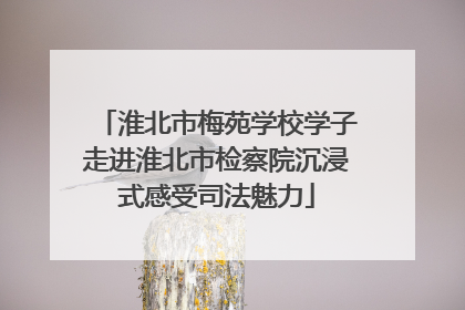 淮北市梅苑学校学子走进淮北市检察院沉浸式感受司法魅力