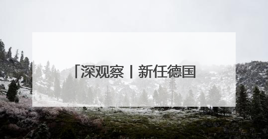 深观察丨新任德国总理首次访美后 传递出何种信号
