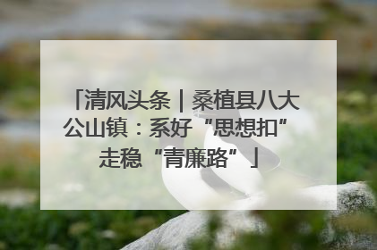 清风头条｜桑植县八大公山镇：系好“思想扣” 走稳“青廉路”
