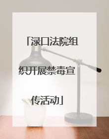 渌口法院组织开展禁毒宣传活动