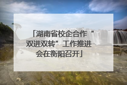 湖南省校企合作“双进双转”工作推进会在衡阳召开