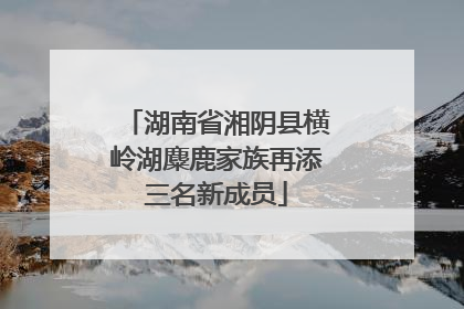 湖南省湘阴县横岭湖麋鹿家族再添三名新成员