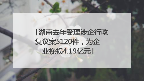 湖南去年受理涉企行政复议案5120件，为企业挽损4.19亿元