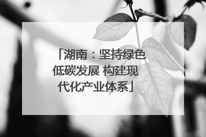 湖南：坚持绿色低碳发展 构建现代化产业体系