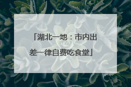 湖北一地：市内出差一律自费吃食堂