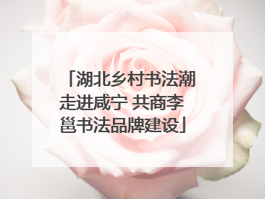 湖北乡村书法潮走进咸宁 共商李邕书法品牌建设