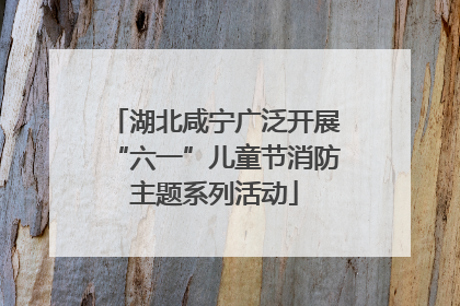 湖北咸宁广泛开展“六一”儿童节消防主题系列活动